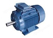 ABB電機(jī) QAD變級(jí)多速三相異步電動(dòng)機(jī)