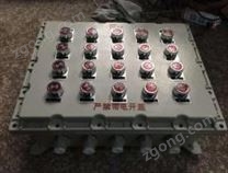 BXMD帶蜂鳴器防爆電控箱(IIB,IIC)