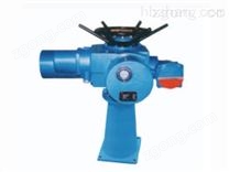 電動(dòng)裝式螺桿啟閉機(jī)